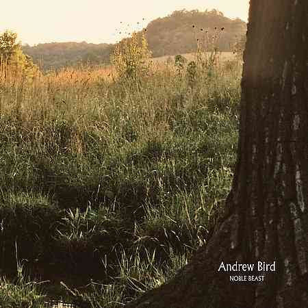 NOBLE BEAST - Andrew Bird