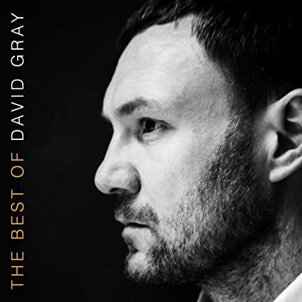 The Best of David Gray (Gatefold Cover) (2 Lp's) [Import] - David Gray